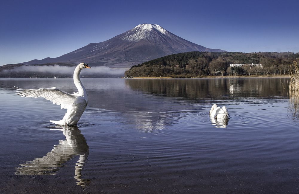 Japan Mount Fuji