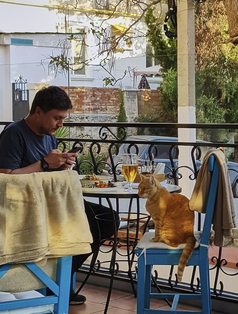 За дружеской беседой