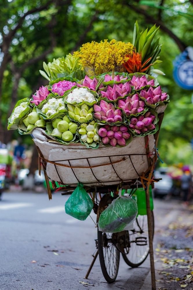 Mùa hoa tháng sáu