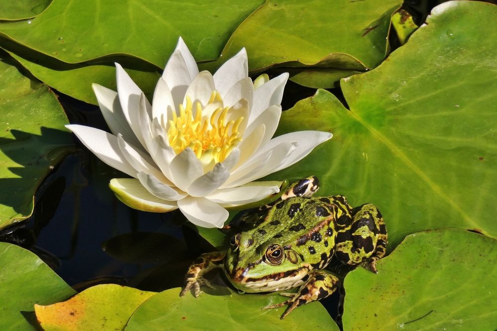 Photograph by backareva irina