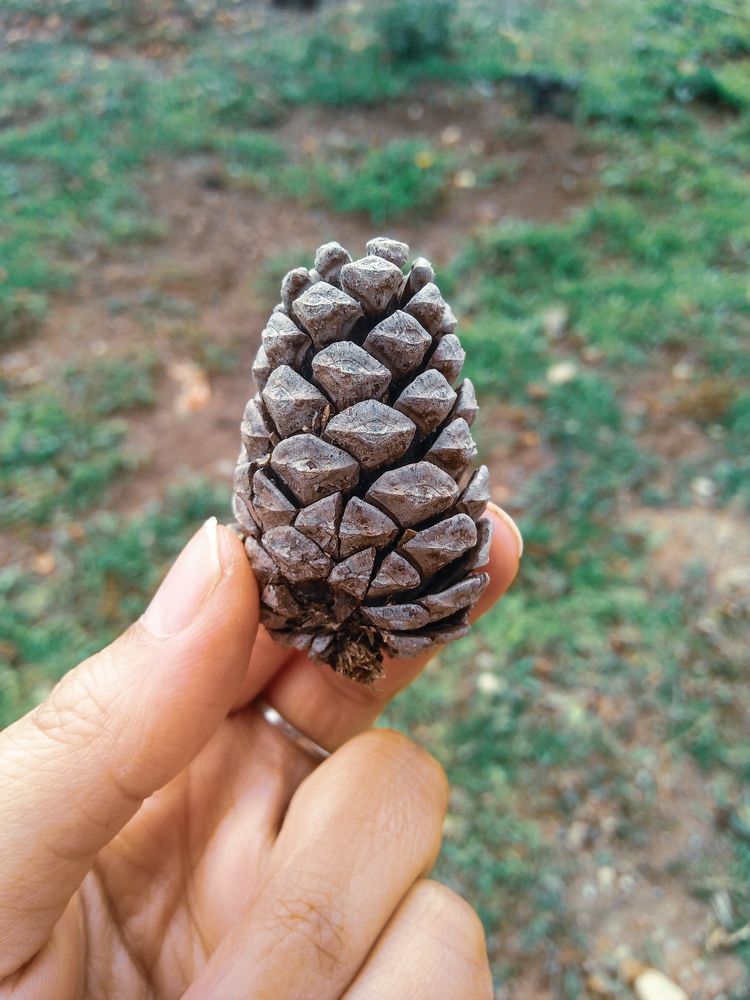 Photo #7697514