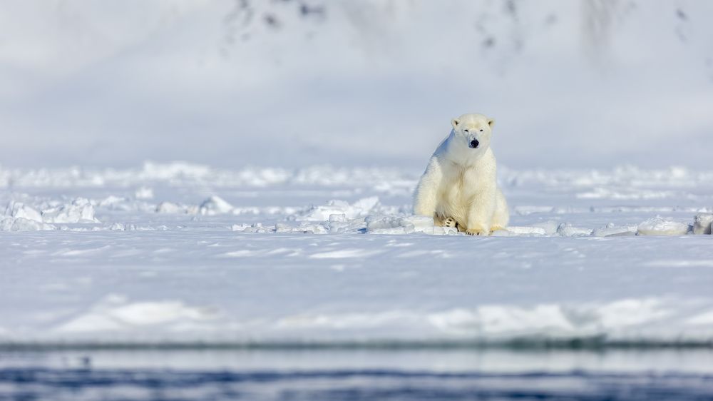 Photograph by Ruzdi Ekenheim