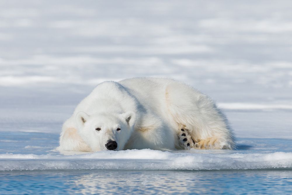 Photograph by Ruzdi Ekenheim