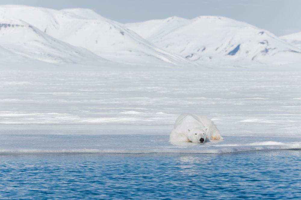 Photograph by Ruzdi Ekenheim