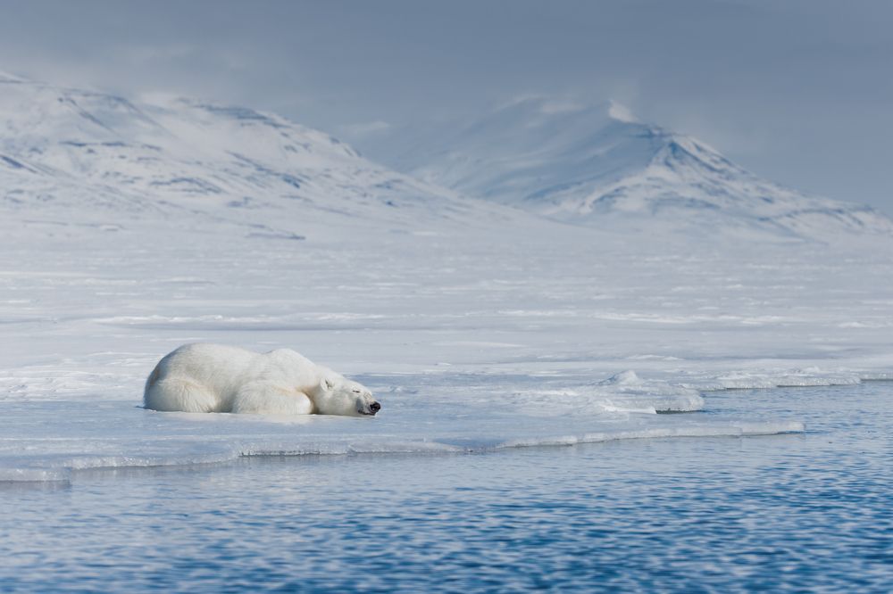 Photograph by Ruzdi Ekenheim