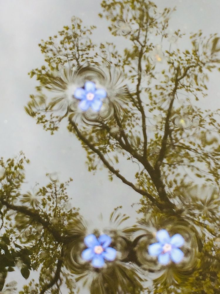 Photograph by Антонина