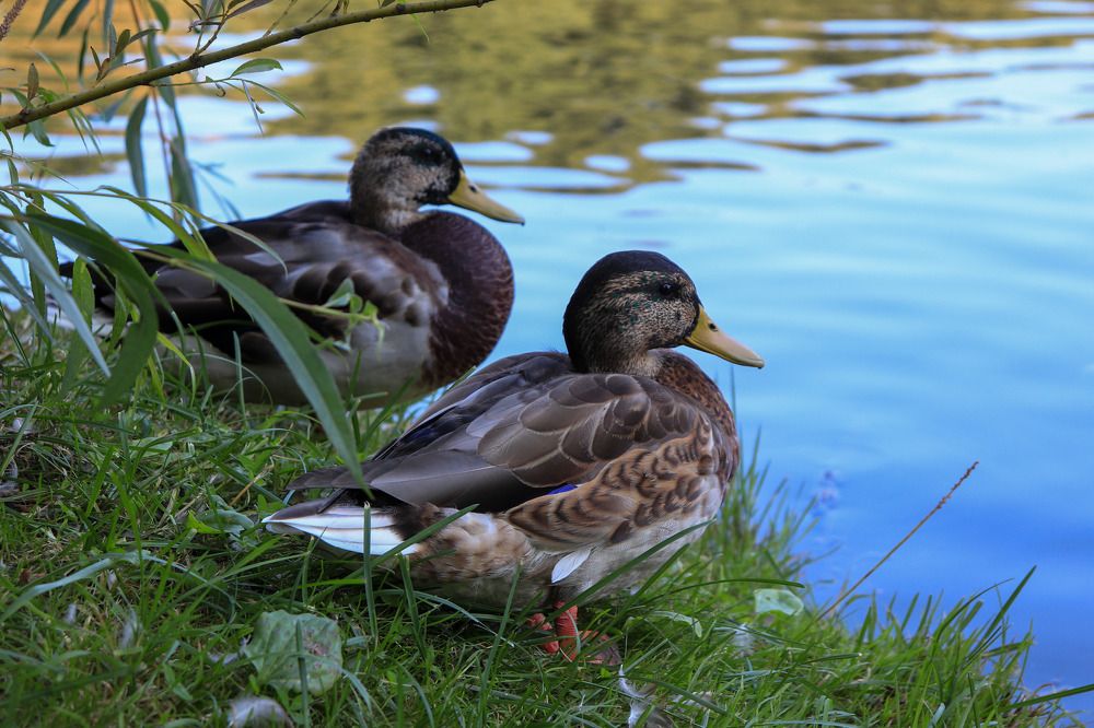 Photograph by Лилия Васильева