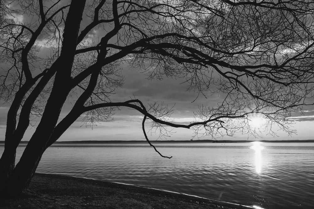 Photograph by Татьяна Полянская