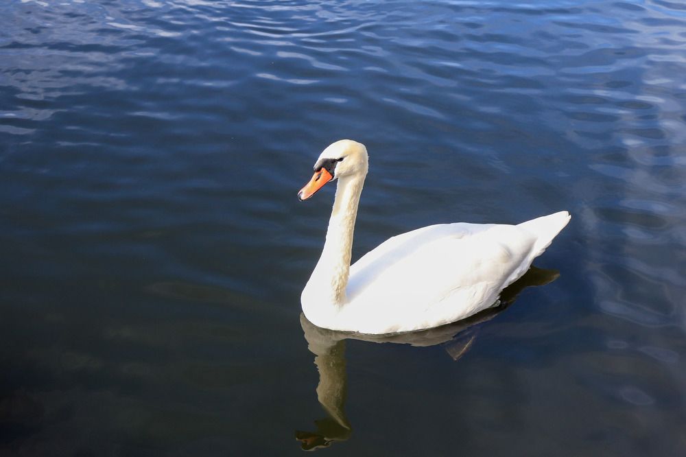 Photograph by Лилия Васильева