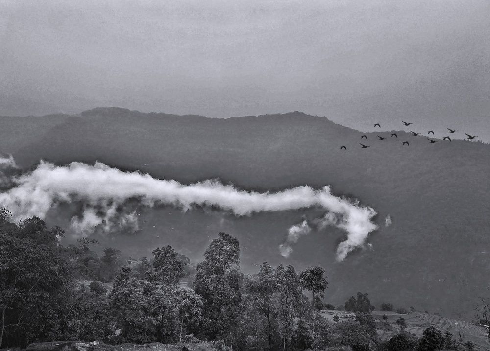 Фотография автора James Timsena