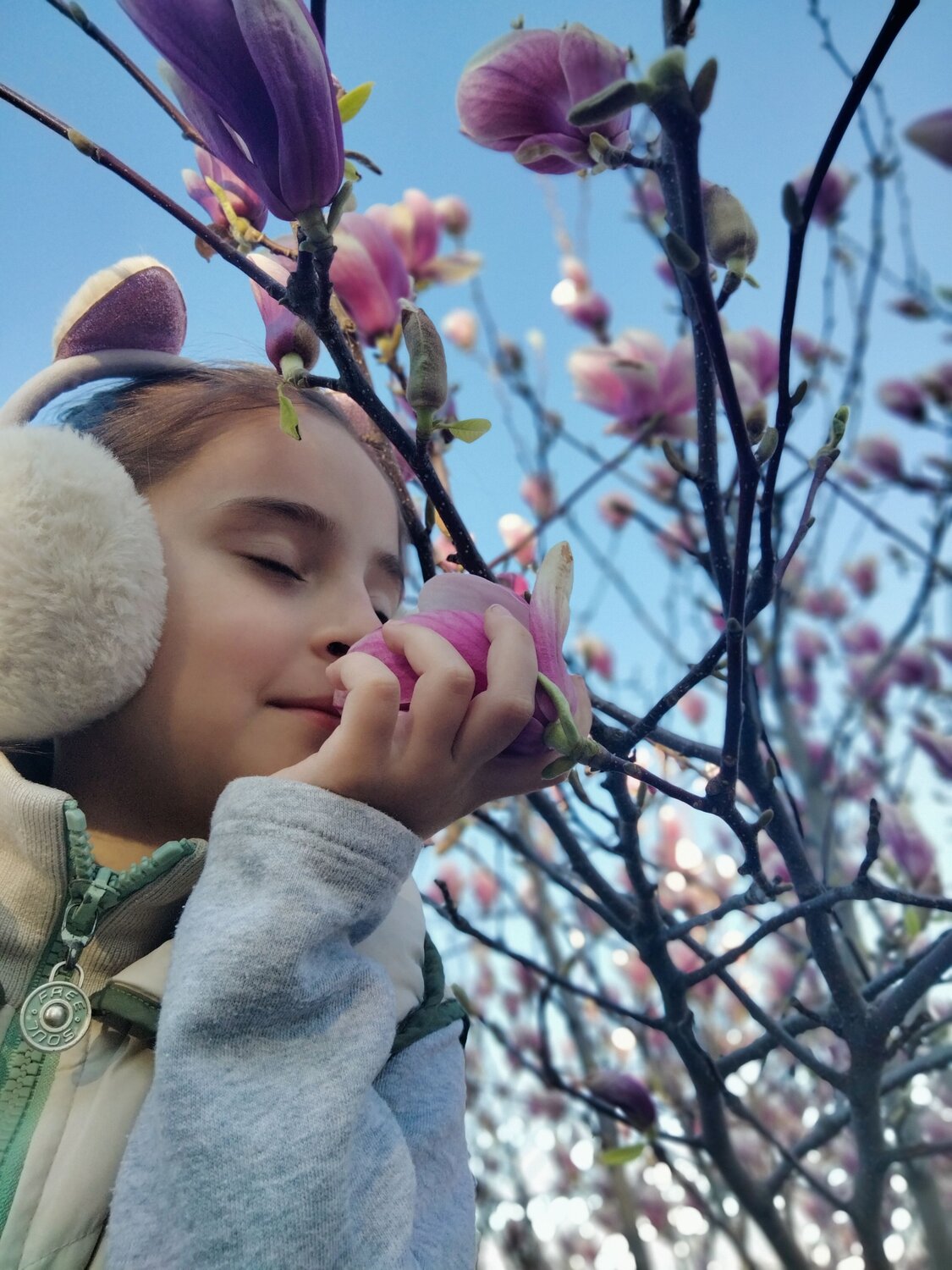Photo #7697698
