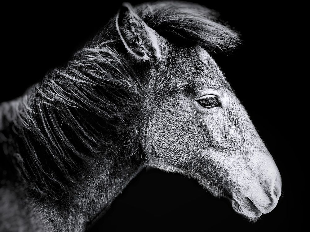 Фотография автора James Timsena