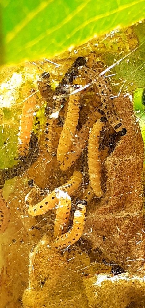 Photograph by Евгения Ульянова