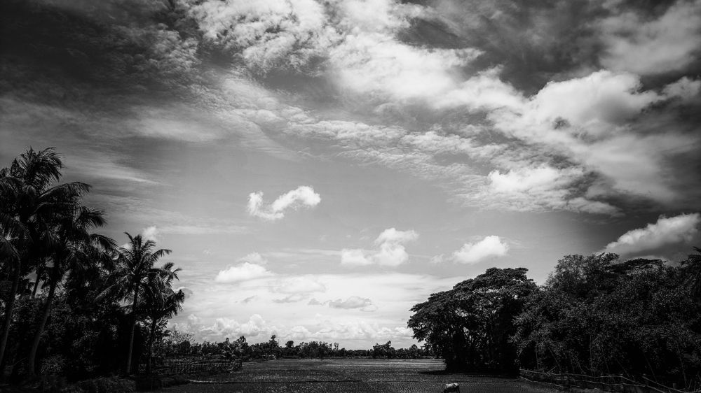 Photograph by Arindam Sahoo