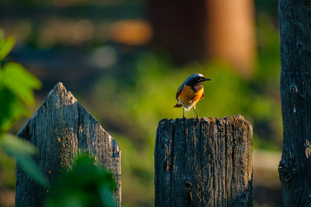Photograph by Павел Синегубов