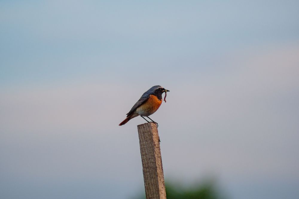 Photograph by Павел Синегубов