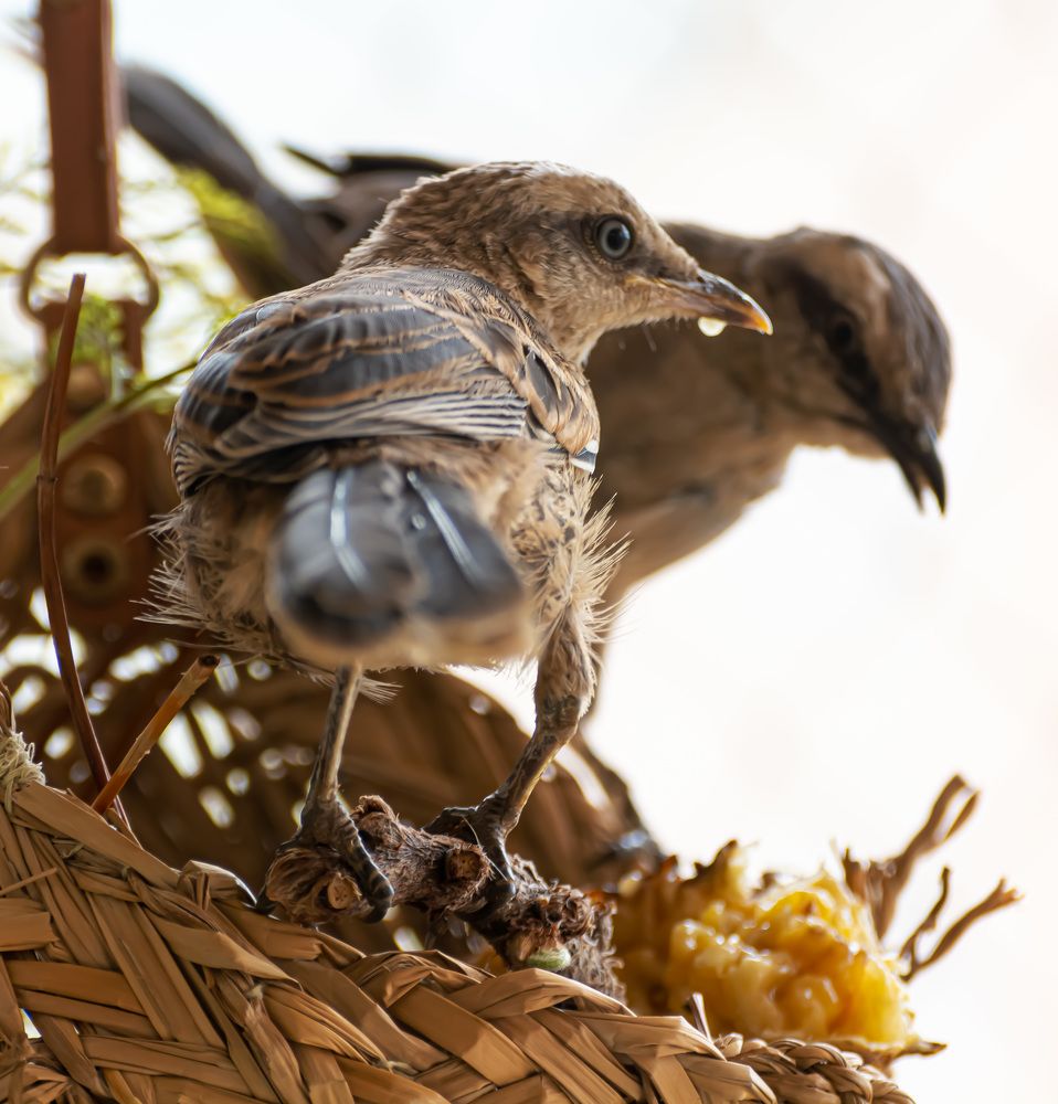 Photograph by Eliezer Santos