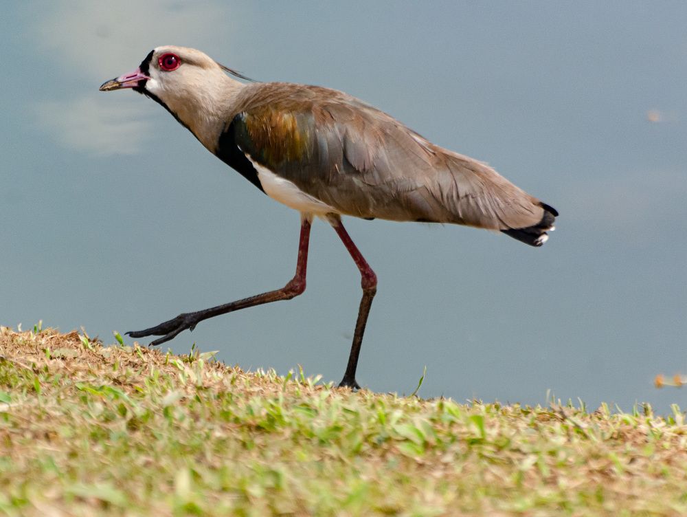 Photograph by Eliezer Santos