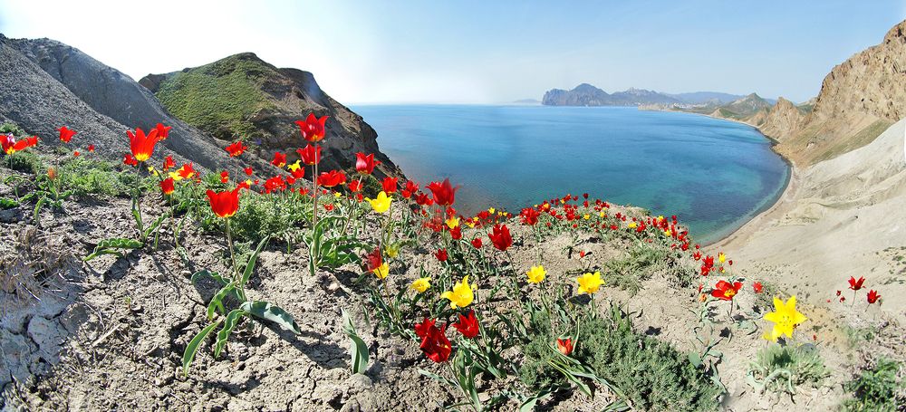 Весенний карнавал Киммерии