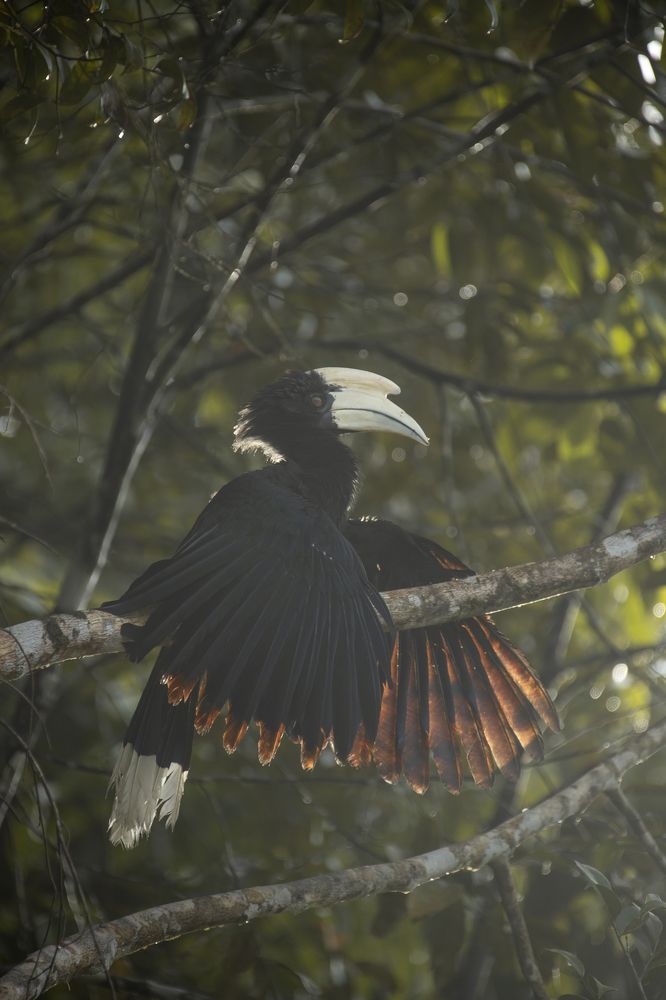 Фотография автора Anil Prabhakar