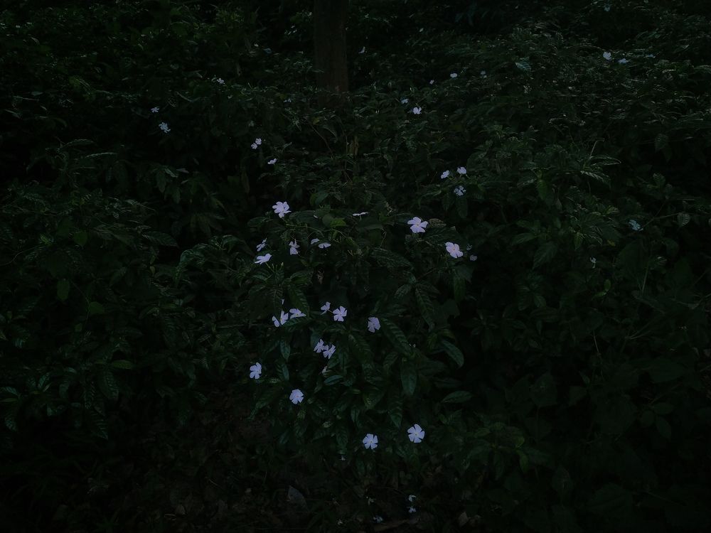 Photograph by Ayaz Karim