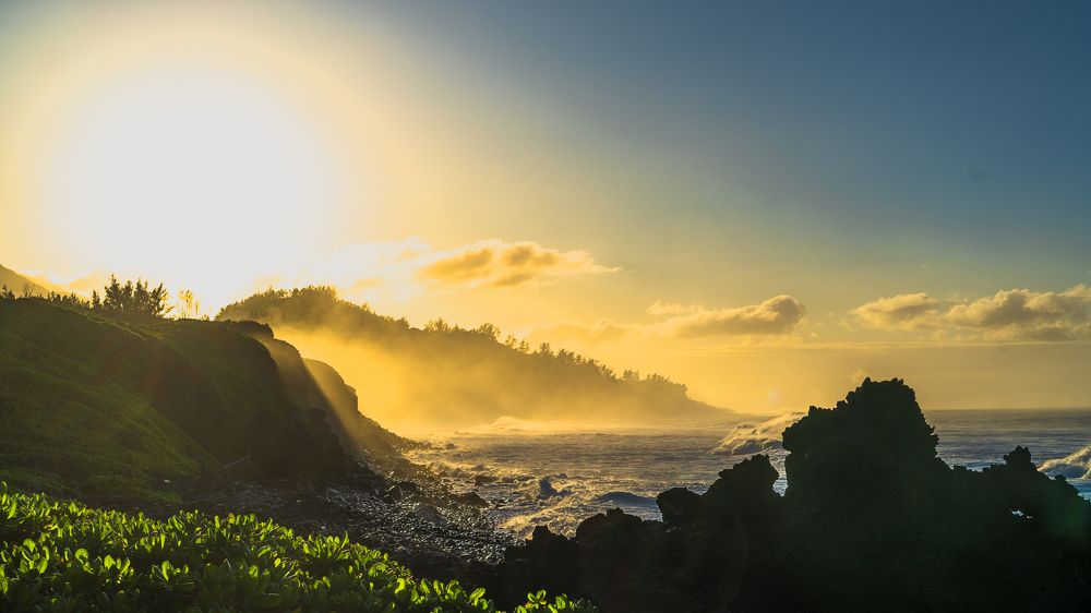 Photograph by Johan Etheve