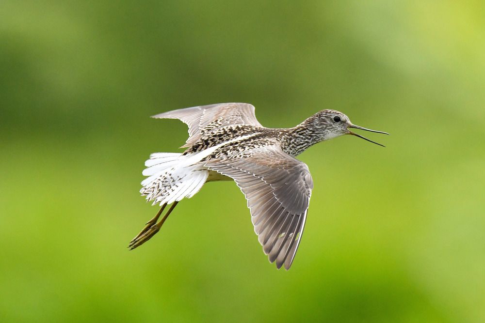 Photograph by Валерий Шурмиль