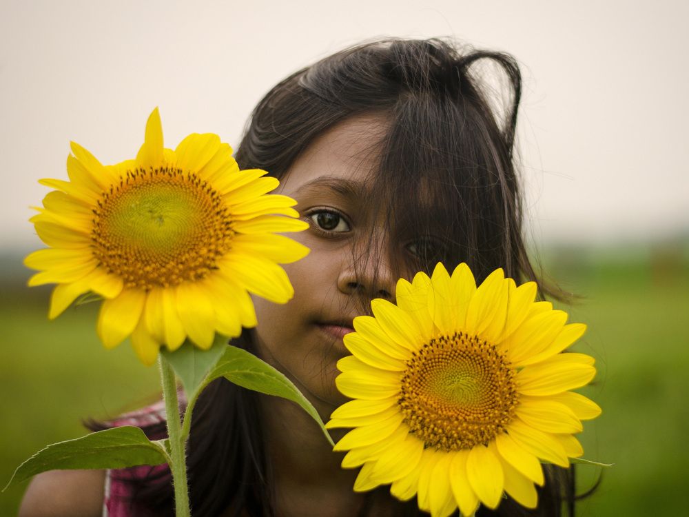 She is a Sunflower .