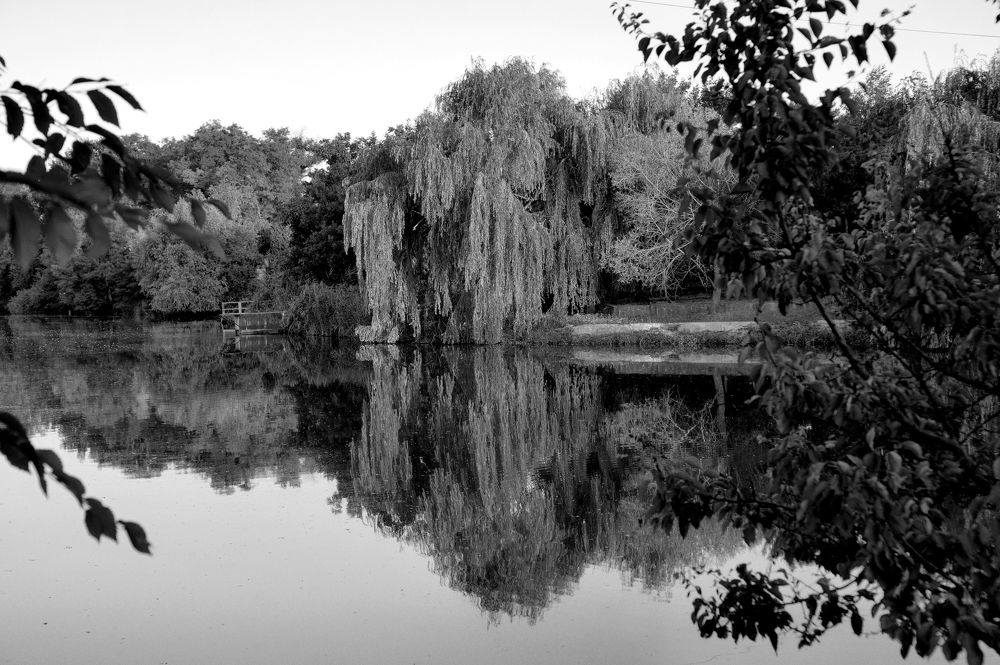 Photograph by АНДРЕЙ Роев