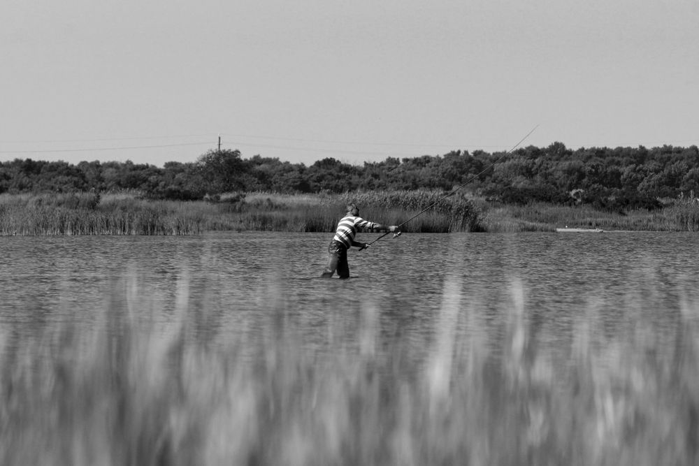 Photograph by АНДРЕЙ Роев