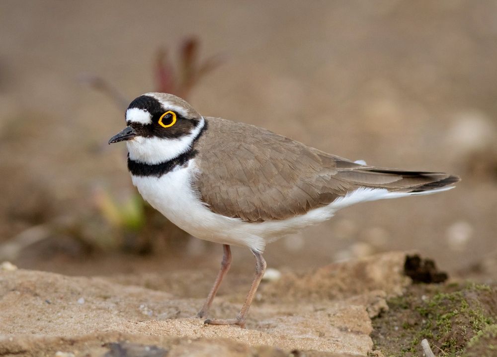 Photograph by Павел Краснослободцев