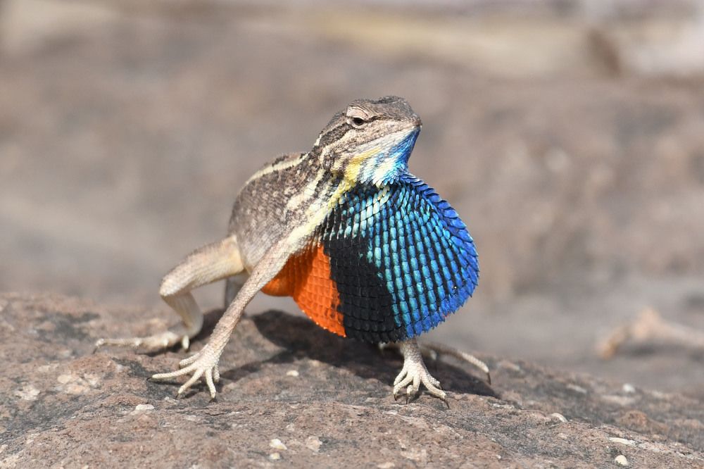 Photograph by Mandar Sable