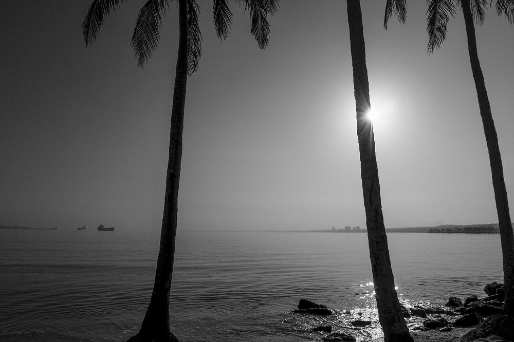 Photograph by Yosvany