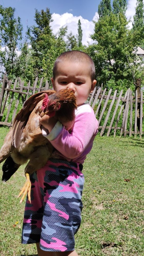 Photograph by Begaly Toktobaev