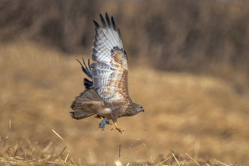 Photograph by Arie Burla