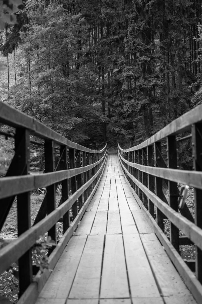 Photograph by Виталий Са