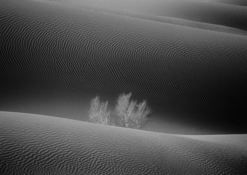 Photograph by Sara Karimi