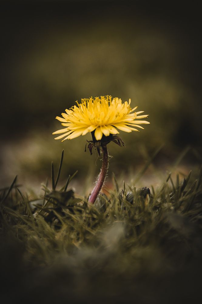 Photograph by SaifuddiN Beterhanov