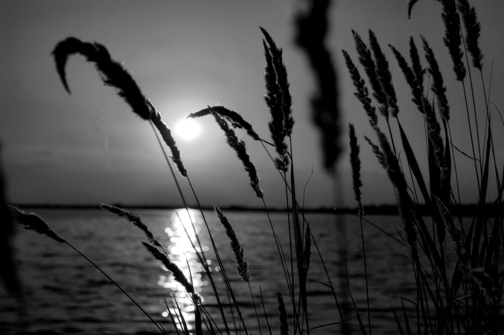 Photograph by АНДРЕЙ Роев