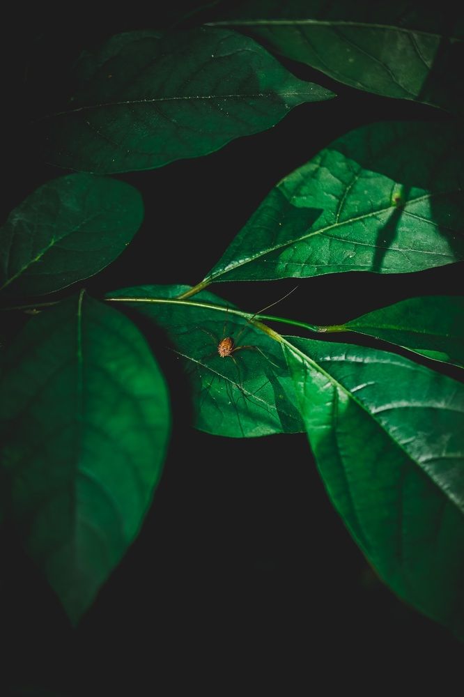 Photograph by Can Gunay