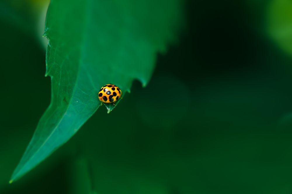 Photograph by Can Gunay