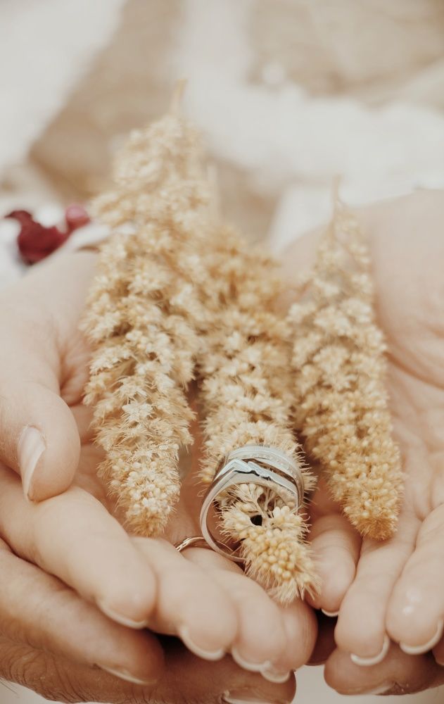 Photograph by Sara Karimi