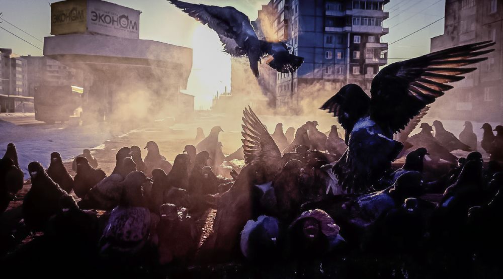 Photograph by Valerdefd