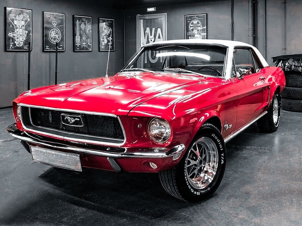 Photograph by Александр Шандов