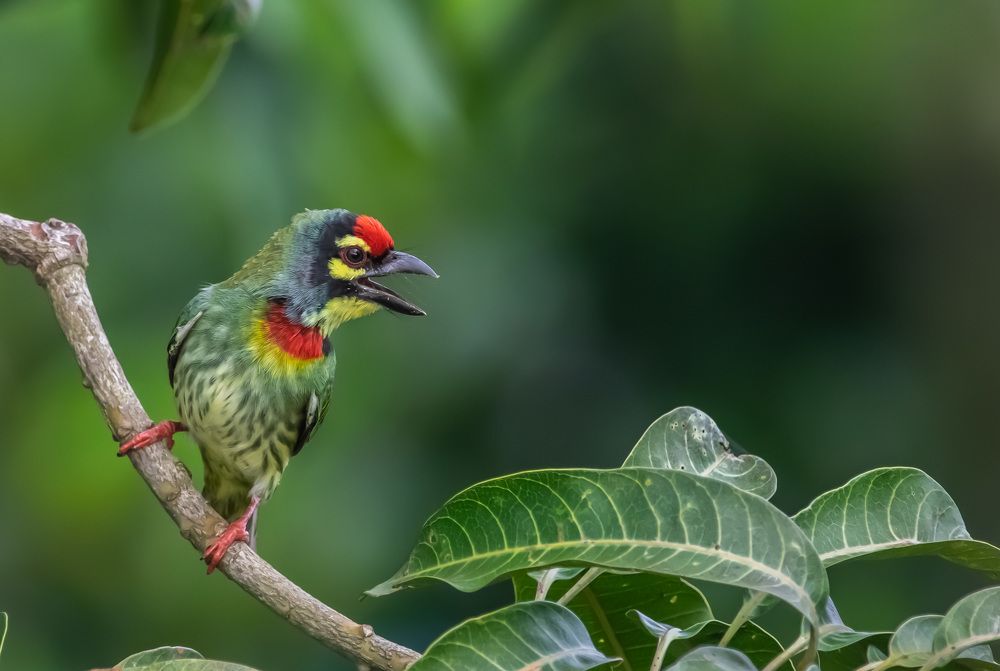 Photograph by RITUBRATA BANERJEE