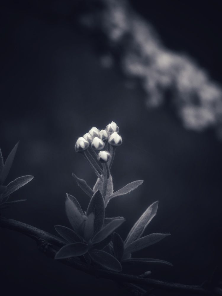 Photograph by Светлана Филимонова