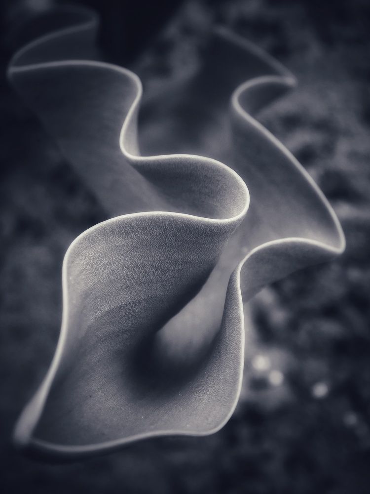 Photograph by Светлана Филимонова