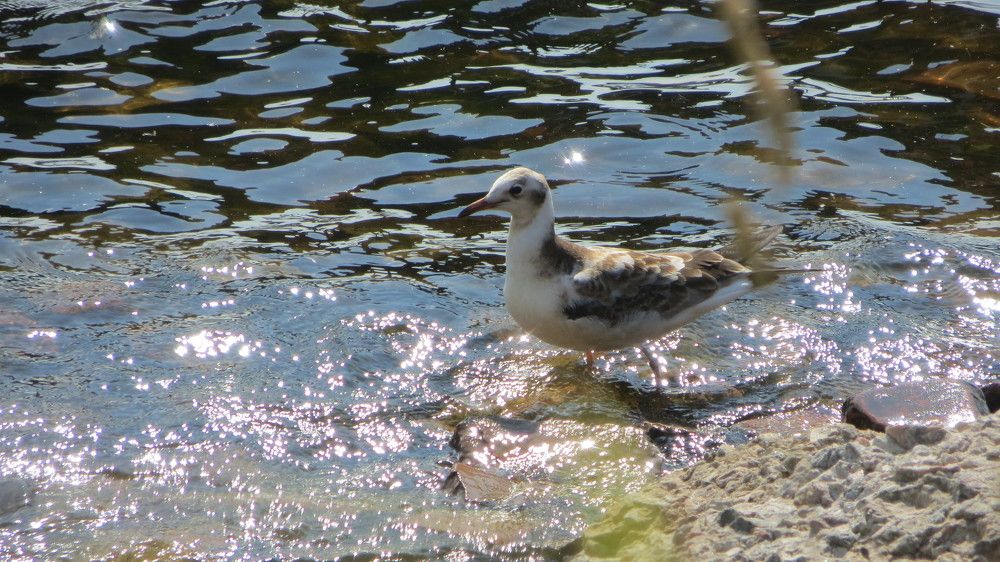Photograph by Мигун Александра
