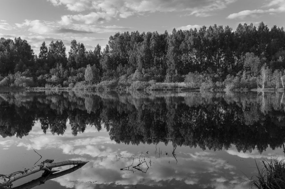 Photograph by Андрей Папанов