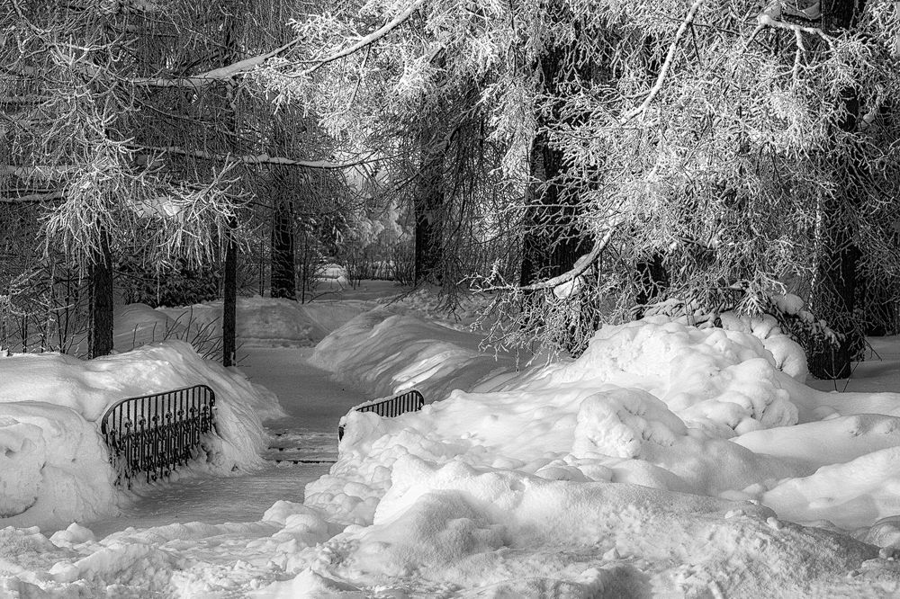 Photograph by Александр Никитинский